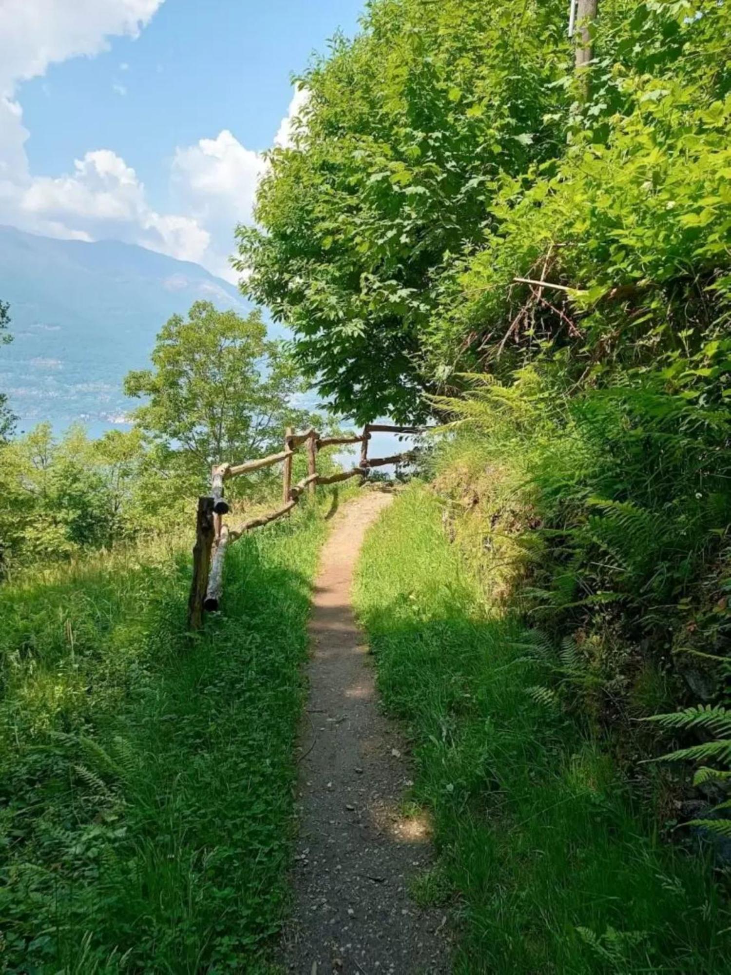 Villa Rosi 列尔纳 外观 照片